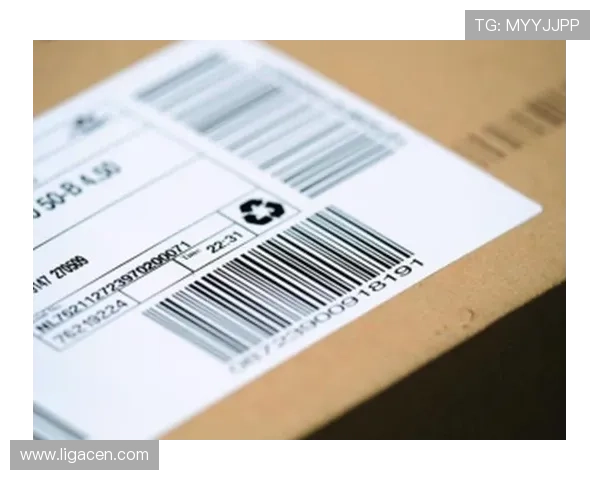 全面解析k8凯发官网登录的注册流程与账号安全保障措施