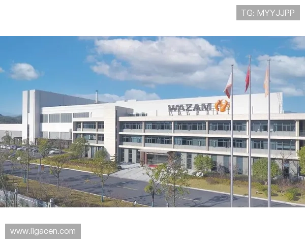 凯发5G电游的客户服务支持，全天候在线解答玩家疑问，提供专业的游戏指导和帮助